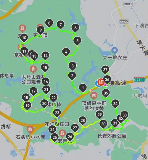 大岭山森林公园景点,大岭山森林公园景点介绍-第2张图片-文史 大岭山森林公园景点,大岭山森林公园景点介绍-第2张图片-文史
