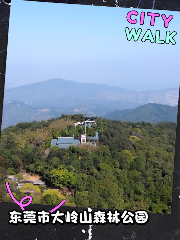 大岭山森林公园景点,大岭山森林公园景点介绍-第3张图片-文史 大岭山森林公园景点,大岭山森林公园景点介绍-第3张图片-文史