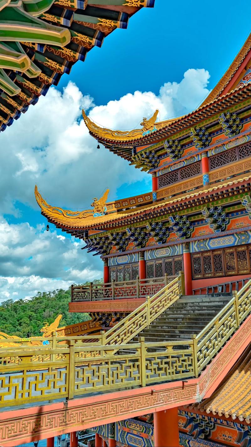大岭山森林公园景点,大岭山森林公园景点介绍-第5张图片-文史 大岭山森林公园景点,大岭山森林公园景点介绍-第5张图片-文史