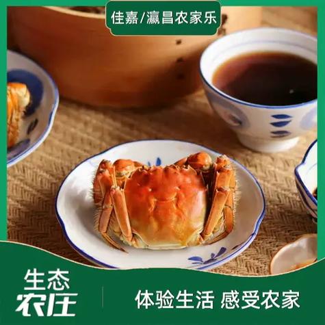 崇明岛农家乐住宿推荐（崇明岛农家乐住宿推荐费用）-第3张图片-文史