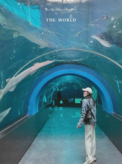 连云港海底世界（连云港海底世界好玩吗）-第4张图片-文史