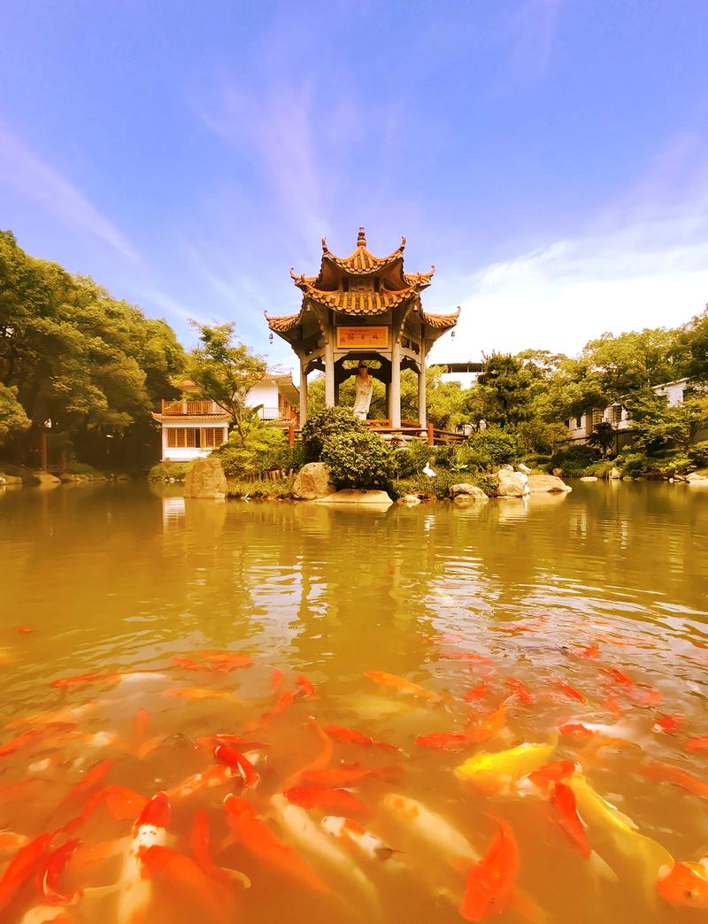 江西南昌有什么好玩的景点,江西南昌有什么好玩的地方旅游景点-第4张图片-文史