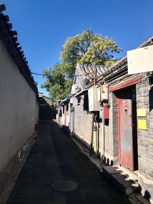 邯郸限号东柳大街限吗(邯郸东环限不限号)-第5张图片-文史 邯郸限号东柳大街限吗(邯郸东环限不限号)-第5张图片-文史